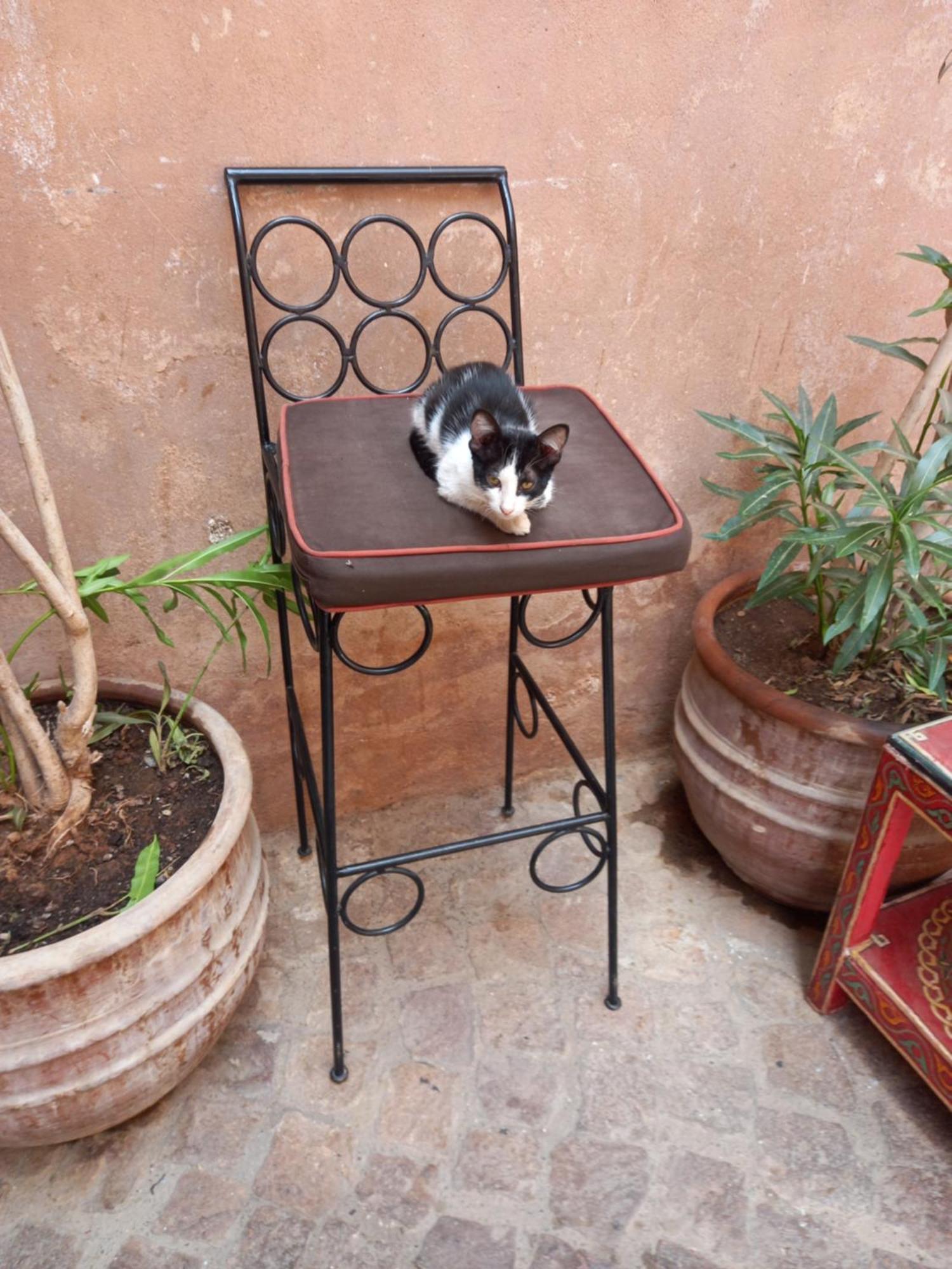Juli'S Bed & Breakfast Marrakesh Bagian luar foto