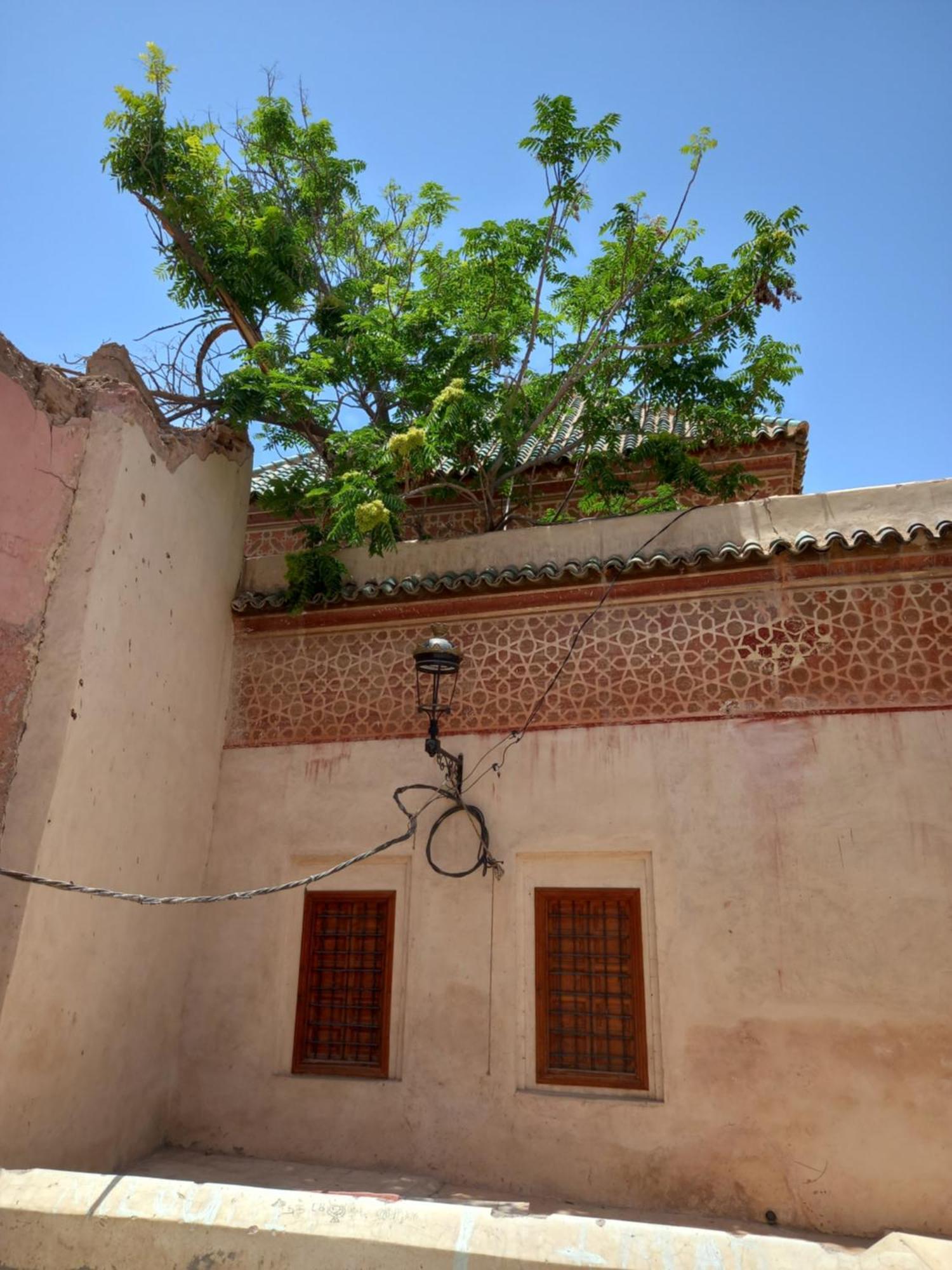 Juli'S Bed & Breakfast Marrakesh Bagian luar foto