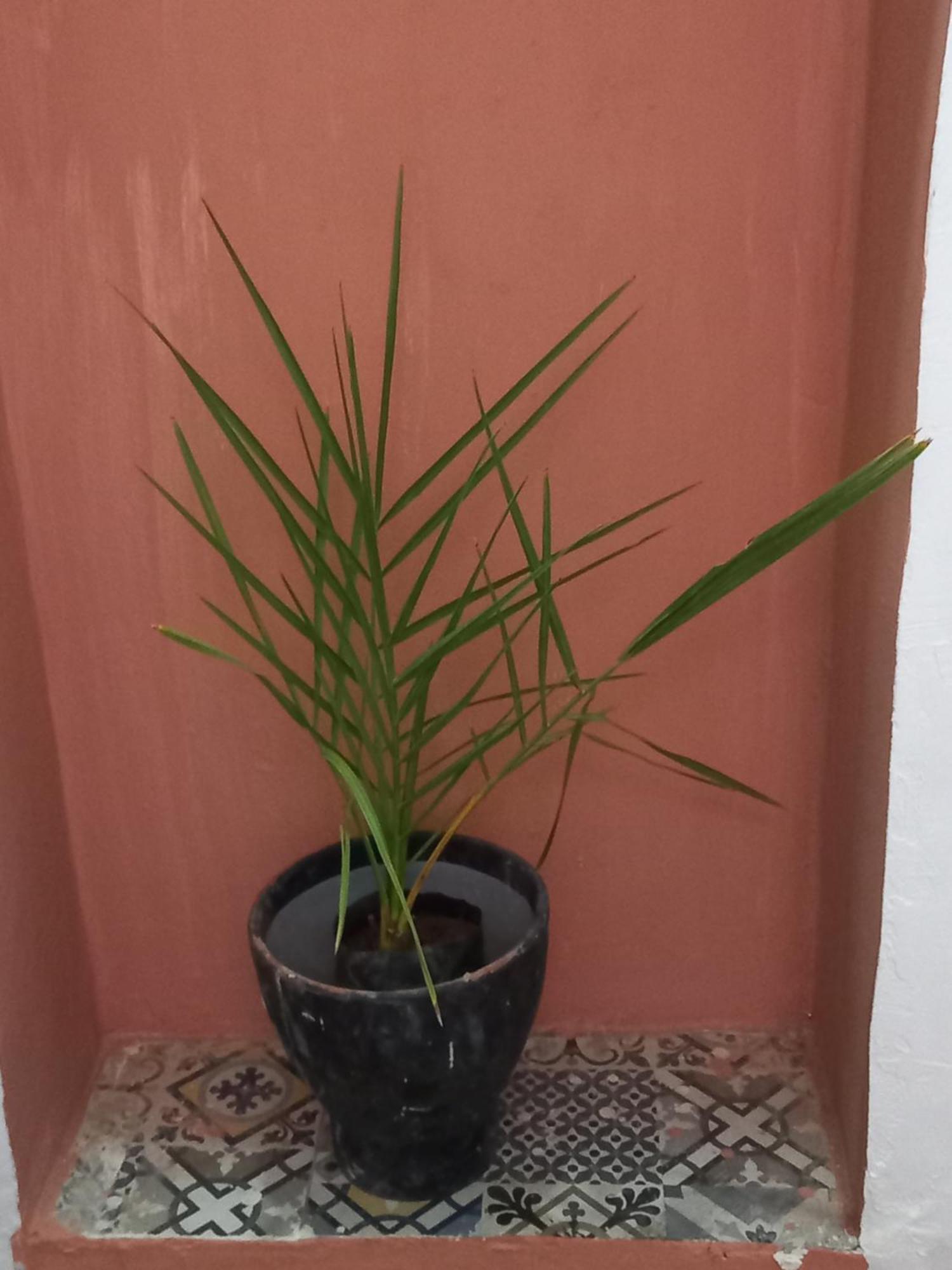 Juli'S Bed & Breakfast Marrakesh Bagian luar foto
