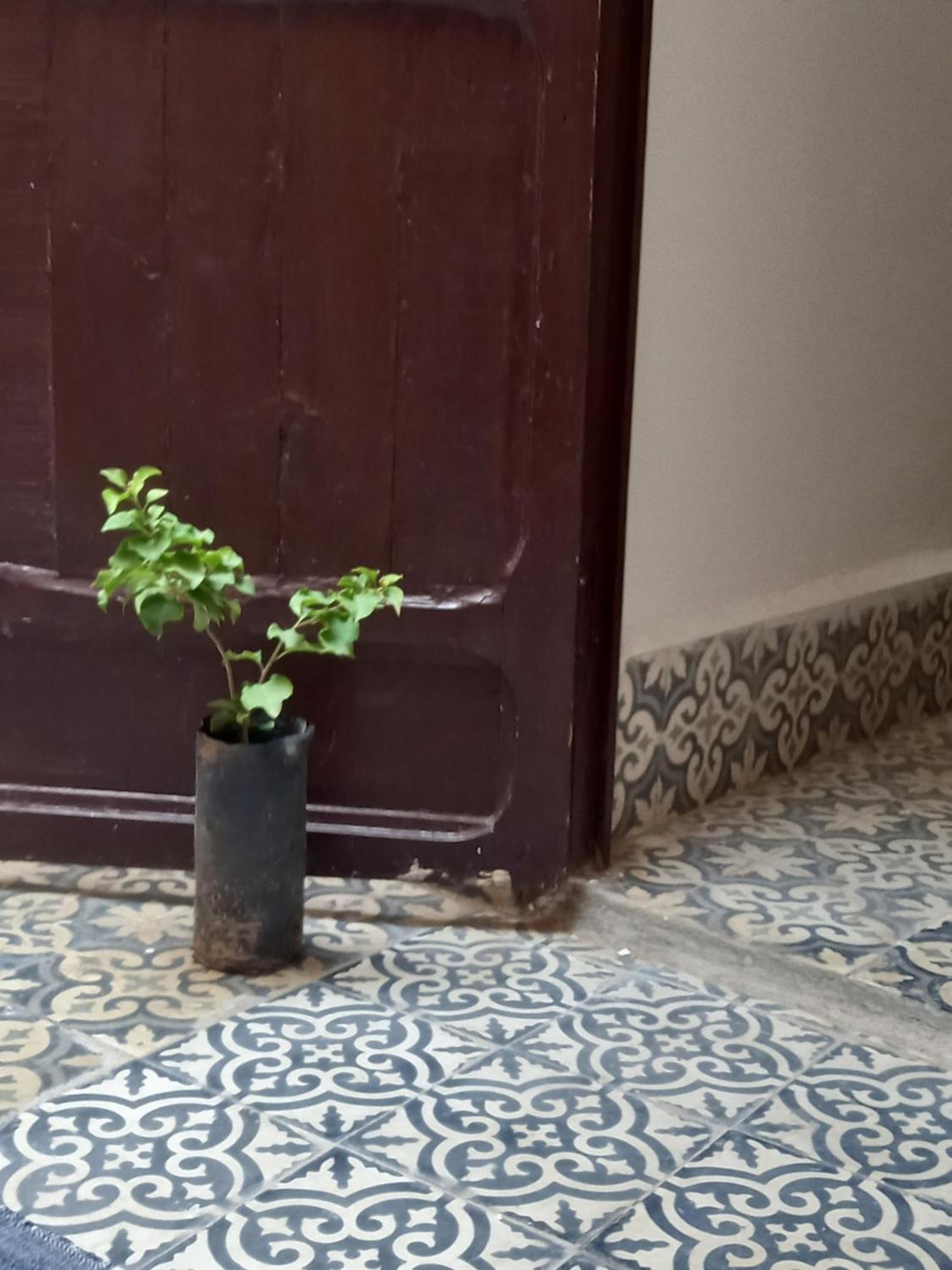 Juli'S Bed & Breakfast Marrakesh Bagian luar foto